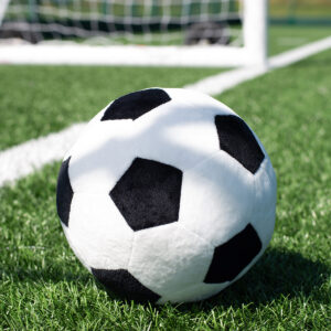 Zippie football